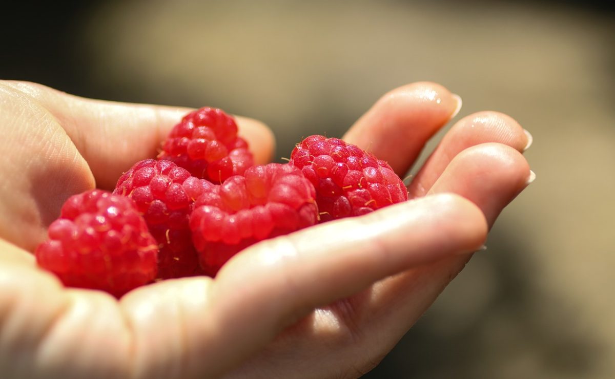 4 frutti per bruciare i grassi e perdere peso, secondo i nutrizionisti